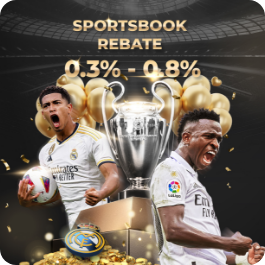 Sportsbook Rebate  0.20 - 0.60 %