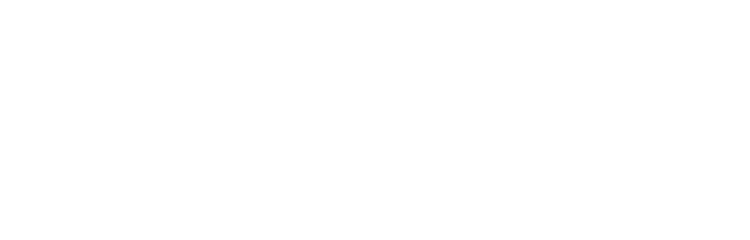 SENSE OF TOUCH