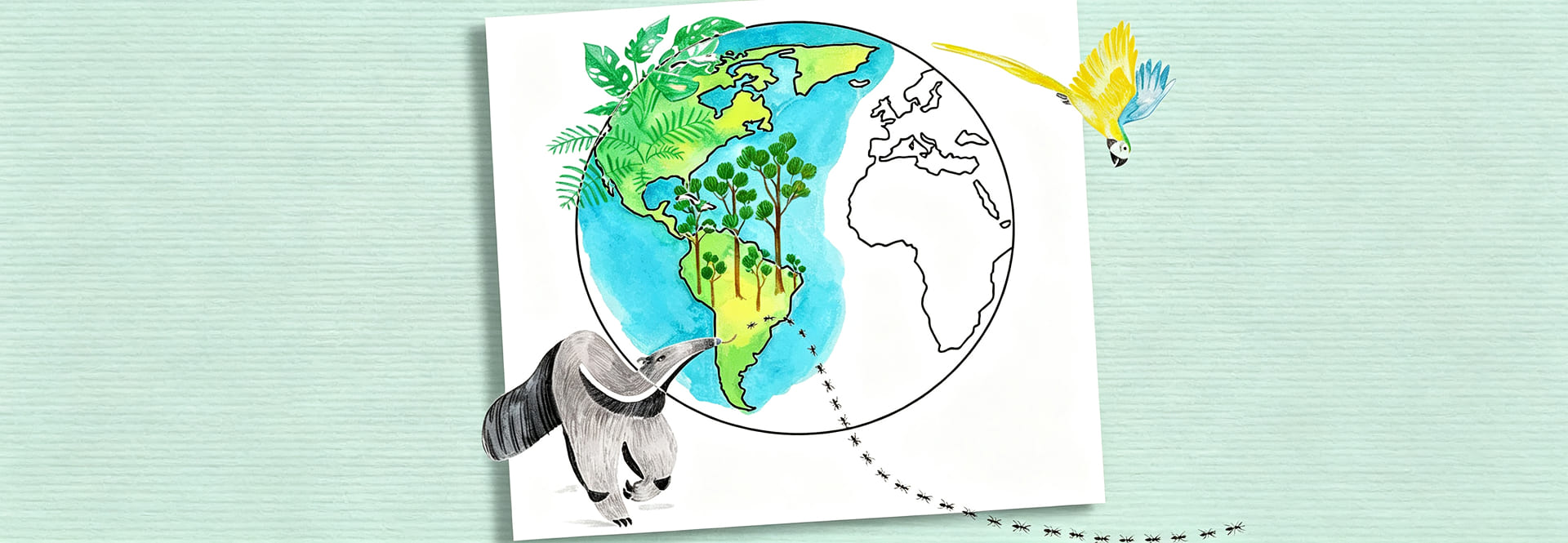 FABER CASTELL Sustainability