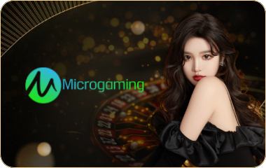 Micro Gaming
