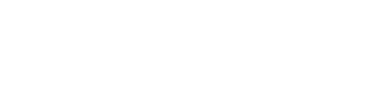 VERTHYS
