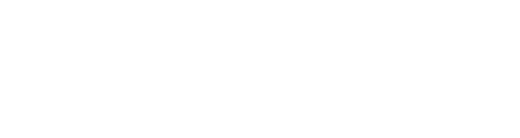BIRD OF PARADISE