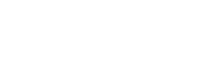FACELAB EMBROIDERY