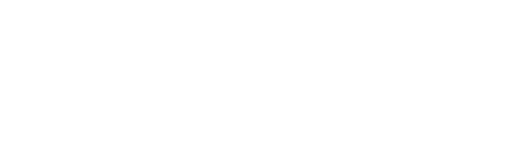 THE CAKE HUNTER