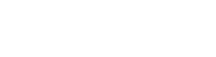 FLOWER DRUM