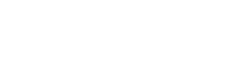 IKAN BILIS ARTS