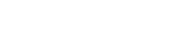 V MAGIC