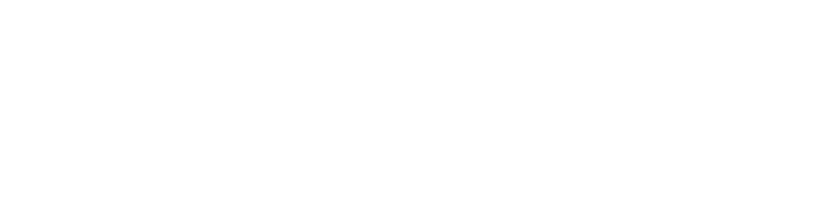 SUISEN