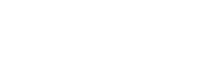 FLOWER DRUM