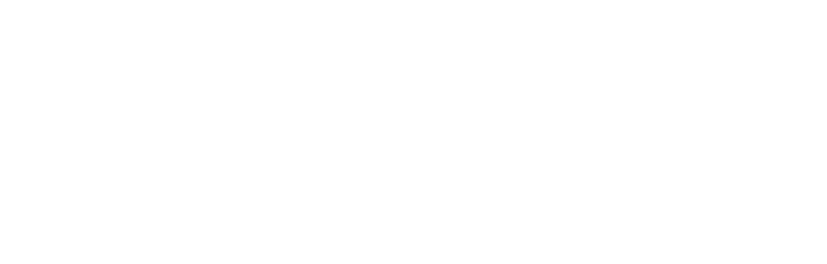 SKY MOSQUITO SOLUTION