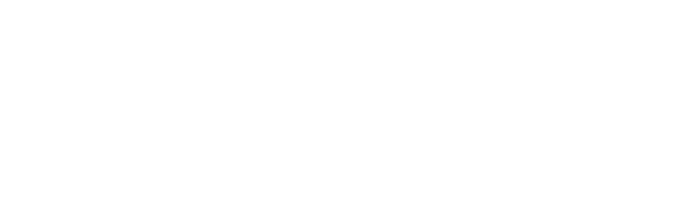RAY'S DIVE