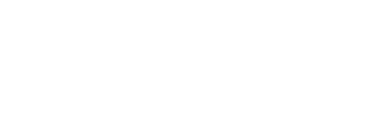 COUNT CUISINE