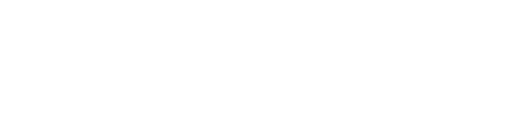 YOUNG WRITERS