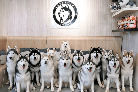 HUSKITORY