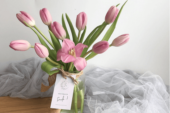 SEED & PETALS